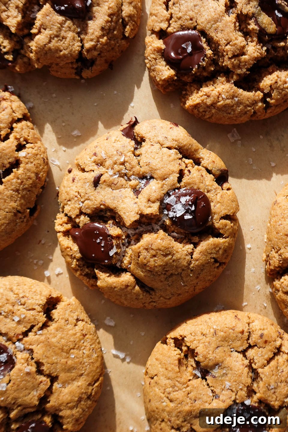 featured 3617