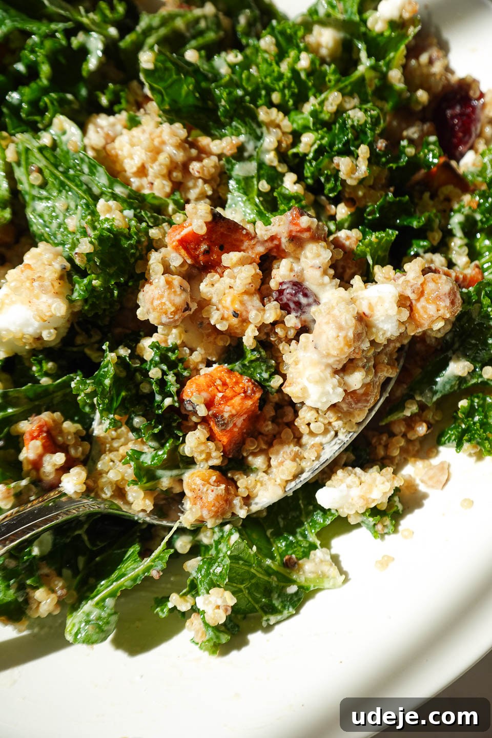 Vibrant Sweet Potato Kale Quinoa Salad 5 close up of spoon with kale quinoa salad drizzled with creamy maple tahini dressing
