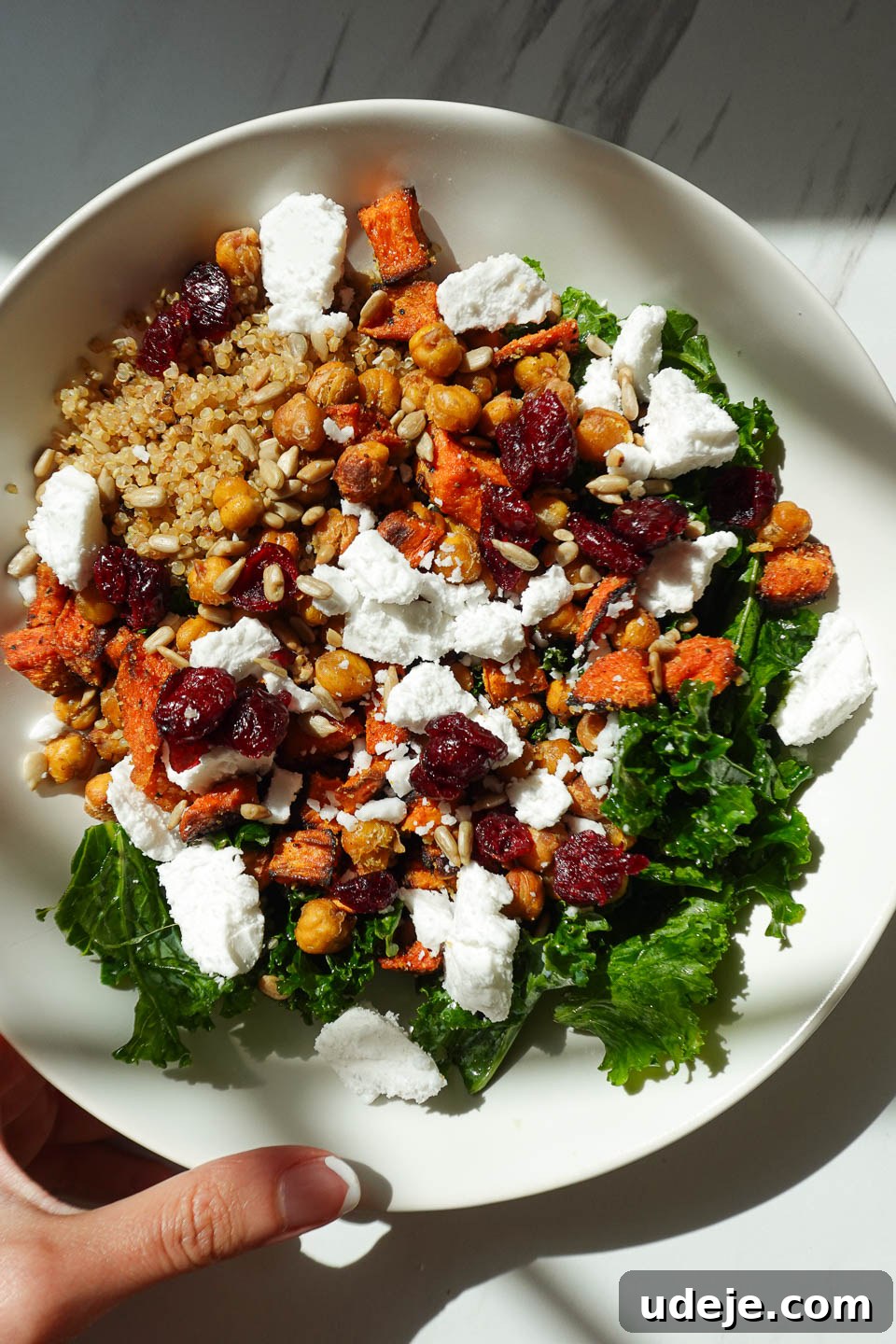 Vibrant Sweet Potato Kale Quinoa Salad 6 fall quinoa salad with sweet potatoes, kale, chickpeas, cranberries, pumpkin seeds, and vegan feta