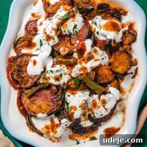 A white dish filled with Borani Banjan—fried eggplant slices topped with creamy yogurt sauce, tomato sauce, and herbs—served on a vibrant green surface with pieces of pita bread on the side.