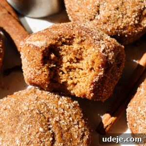 Autumn Spiced Apple Cider Muffins 10 Close up of bite taken out of a soft, fluffy apple cider muffin