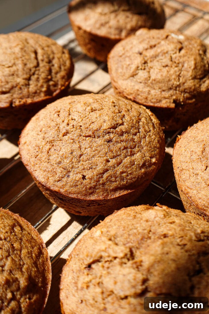 Autumn Spiced Apple Cider Muffins 6 Freshly baked apple cider muffins cooling on a wire rack