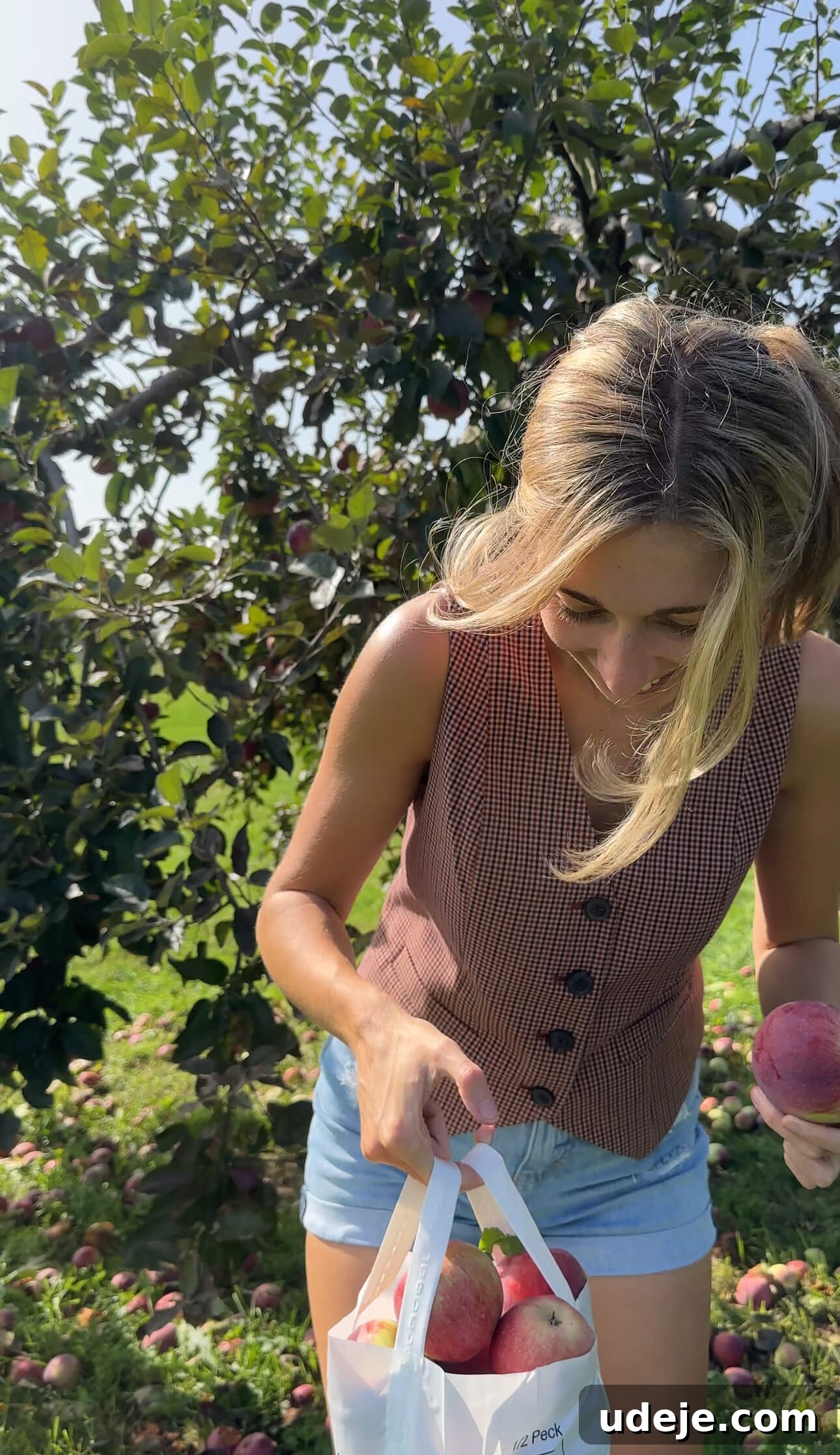 20 Plus Wholesome Autumn Sweets Pumpkin Apple and More 2 Woman enjoying a crisp autumn day at an apple orchard, perfect for gathering inspiration for fall baking