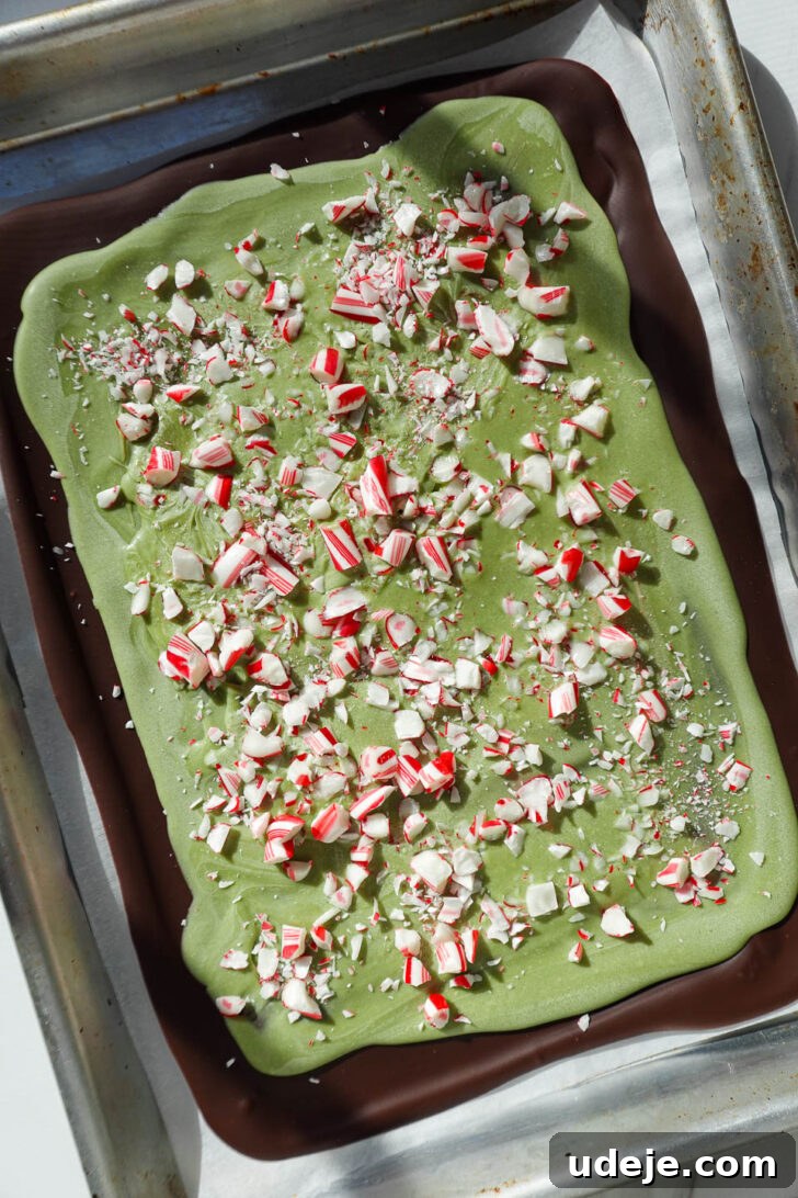 Zen Mint Bark 3 Festive no-bake peppermint bark with matcha, dark chocolate, and crushed candy canes