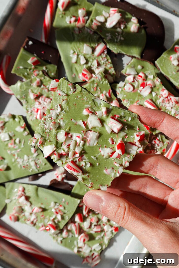 Zen Mint Bark 4 Vegan matcha peppermint bark broken into pieces with candy canes