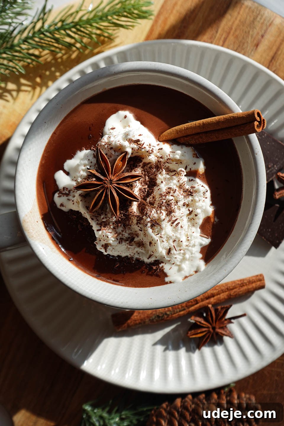 Velvet Vanilla Chai Hot Chocolate 2 Overhead shot of dairy-free vanilla chai hot chocolate topped with non-dairy whipped cream, a cinnamon stick, a star anise pod, and shaved chocolate, invitingly presented.