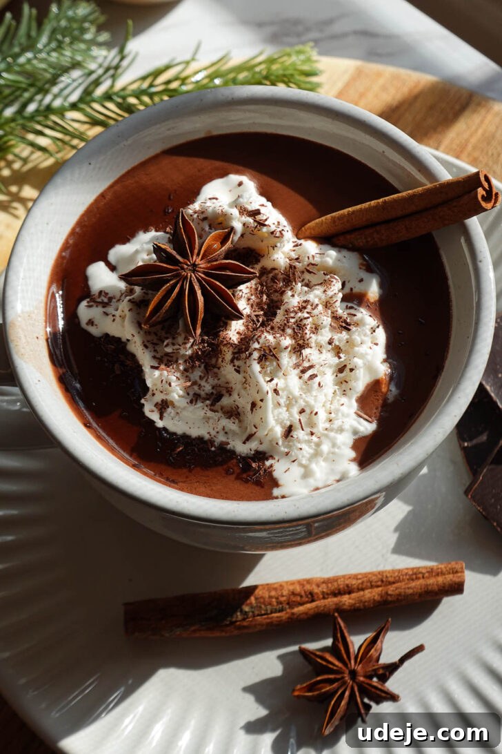 Velvet Vanilla Chai Hot Chocolate 4 Vegan vanilla chai hot chocolate topped with non-dairy whipped cream, a cinnamon stick, a star anise pod, and shaved chocolate, presented in a stylish mug.