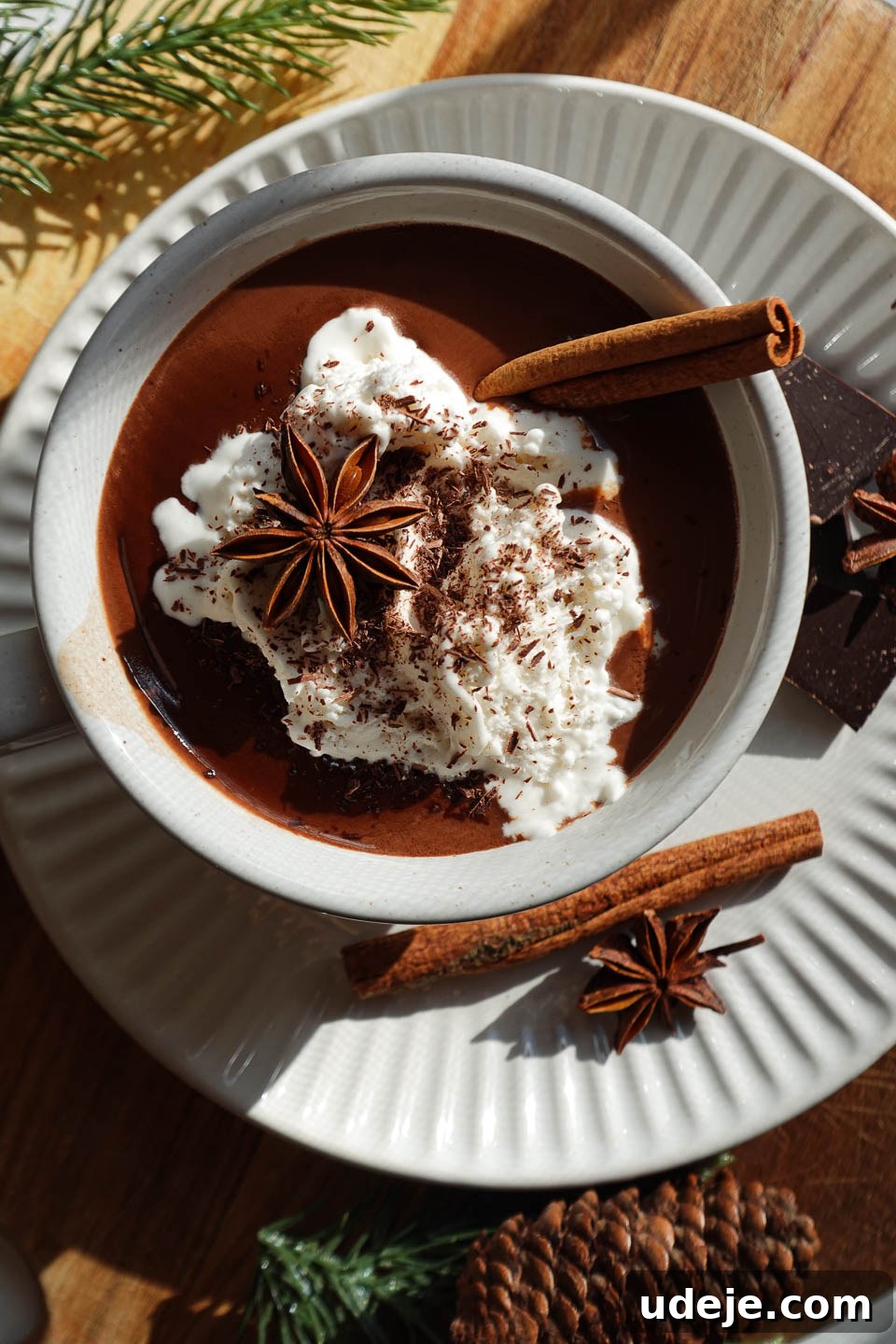 Velvet Vanilla Chai Hot Chocolate 6 Overhead shot of vanilla chai hot chocolate topped with non-dairy whipped cream, a cinnamon stick, a star anise pod, and shaved chocolate, ready to be enjoyed.