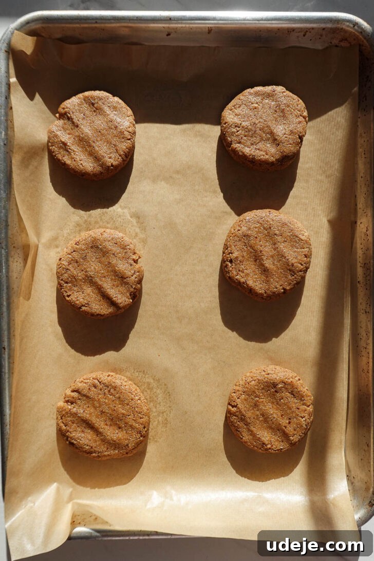 Irresistible Vegan Gluten-Free Gingerbread Chews 6 Gingerbread cookies dough balls on a baking sheet before being baked.