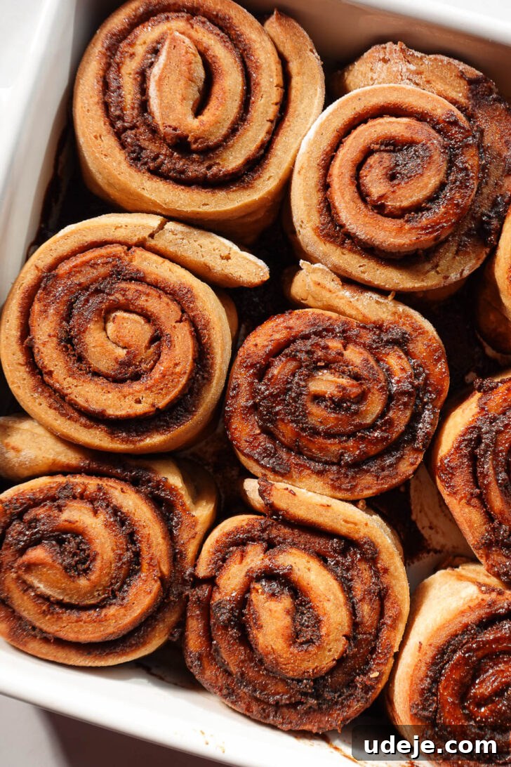 Cozy Vegan Gluten-Free Gingerbread Swirls 8 Freshly baked gingerbread cinnamon rolls in a square pan, exhibiting golden-brown tops and perfectly structured, defined swirls.