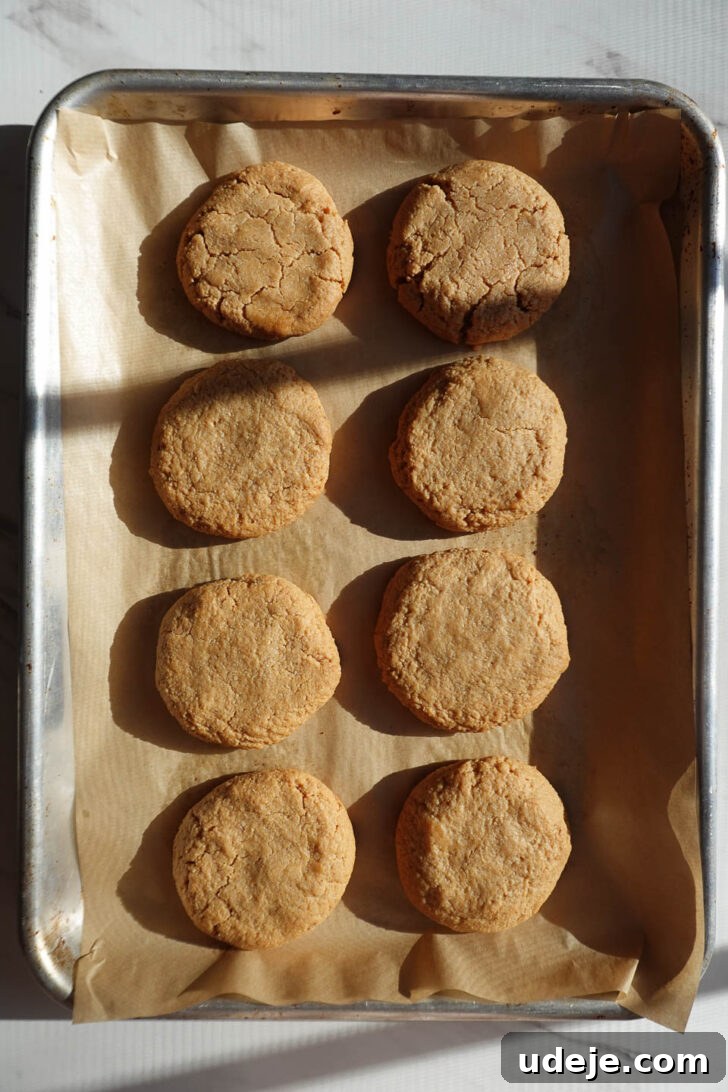 Irresistible Vegan Gluten Free Muddy Buddy Cookies 7 soft peanut butter cookies after baking