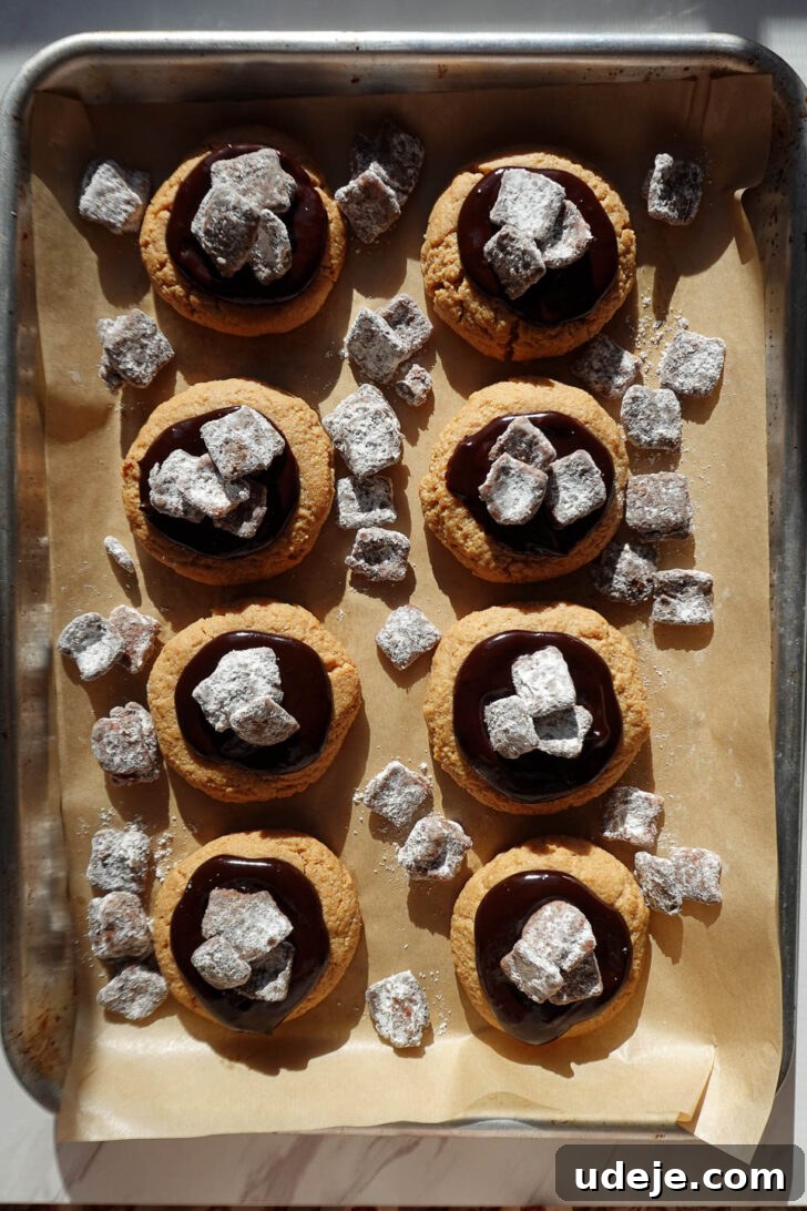 Irresistible Vegan Gluten Free Muddy Buddy Cookies 8 soft peanut butter cookies topped with chocolate ganache and crunchy muddy buddy pieces