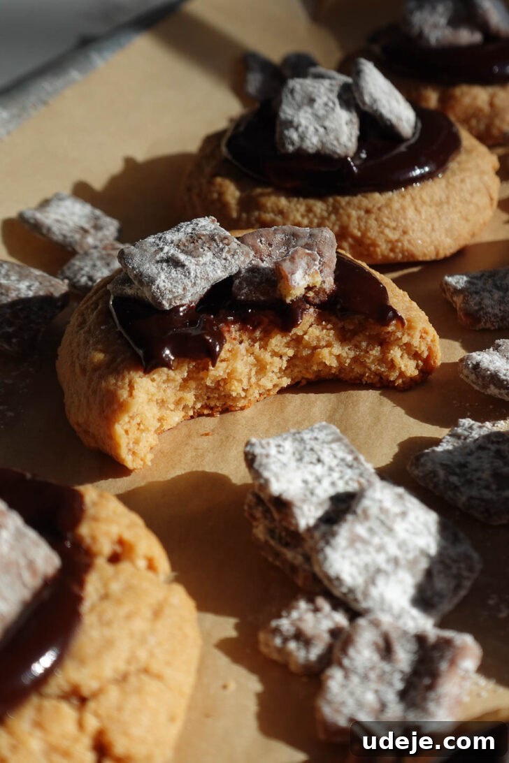 Irresistible Vegan Gluten Free Muddy Buddy Cookies 10 Muddy buddy cookies topped with crunchy muddy buddy cereal pieces with a bite taken out