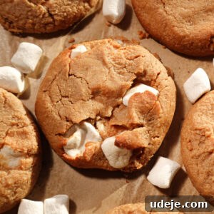 Heavenly Vegan Gluten Free Fluffernutter Cookies 9 Soft and chewy fluffernutter cookies with melted marshmallows and peanut butter
