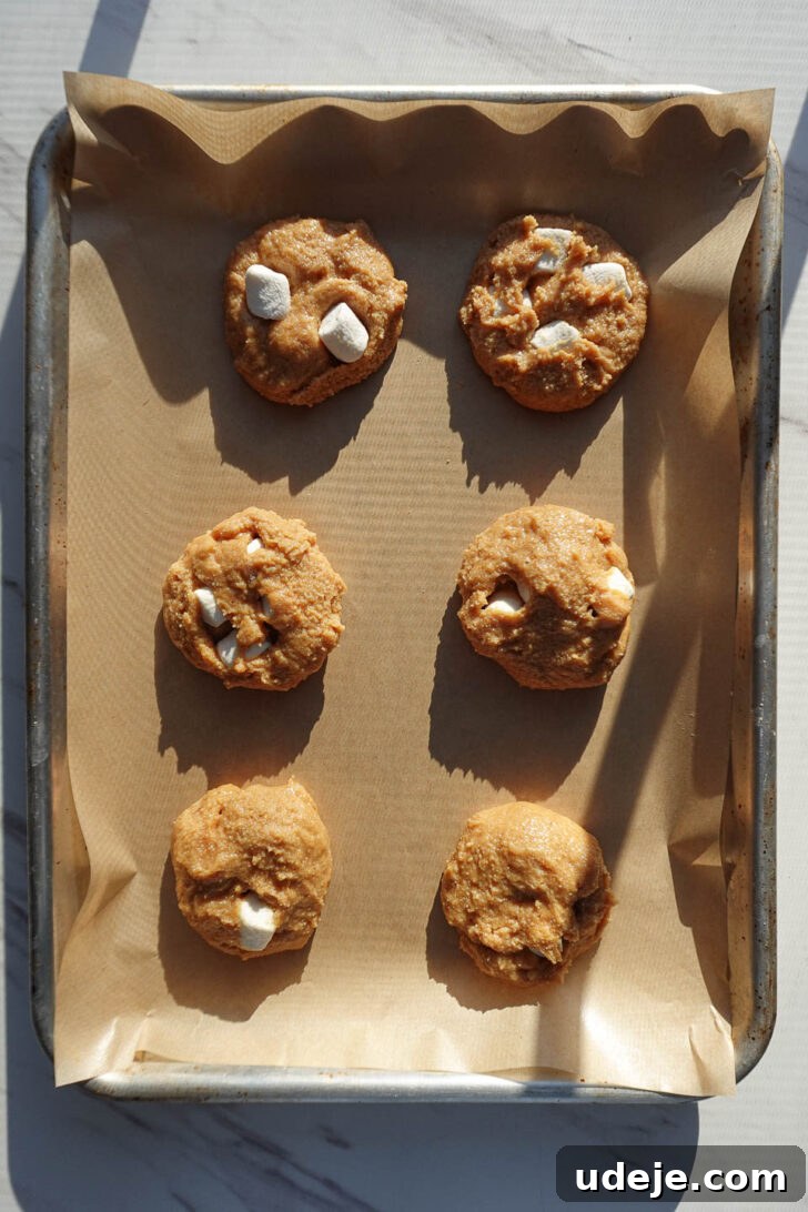Heavenly Vegan Gluten Free Fluffernutter Cookies 6 vegan fluffernutter cookie dough before baking