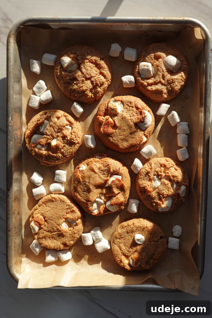 Heavenly Vegan Gluten Free Fluffernutter Cookies 7 Freshly baked fluffernutter cookies on a parchment-lined baking sheet
