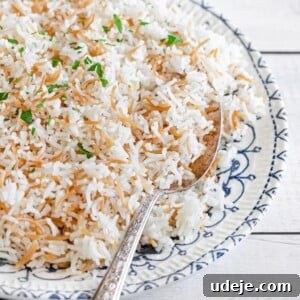 Arabic rice with vermicelli served in a plate with blue pattern, ready to eat.