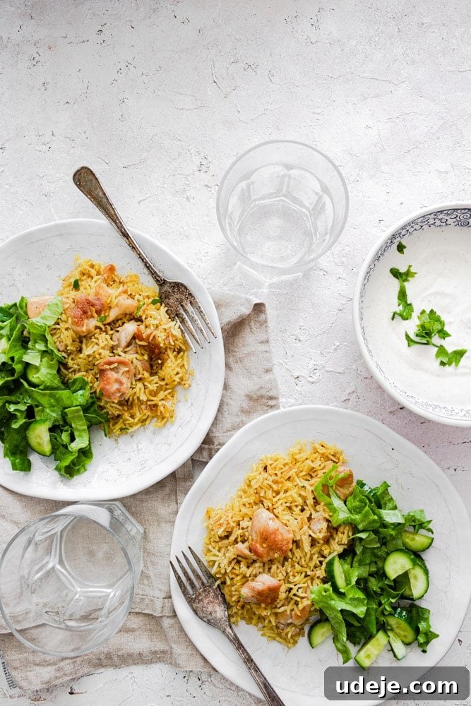 One-Pot Shawarma Rice with Creamy Garlic Sauce 8 A beautifully plated dish of Shawarma rice, adorned with a swirl of creamy white sauce and served alongside a vibrant green salad, showcasing a complete and appetizing meal.
