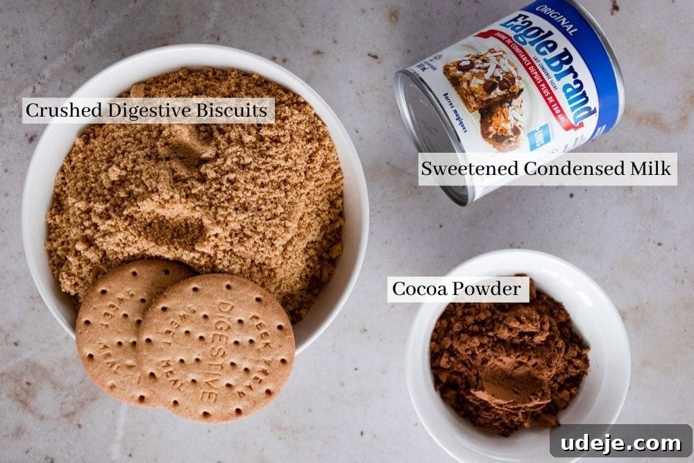 No-Bake Three-Ingredient Chocolate Cookie Bites 3 Key ingredients laid out for making chocolate biscuit balls: a can of sweetened condensed milk, a bowl of dark unsweetened cocoa powder, and a bowl of finely crushed digestive biscuits.