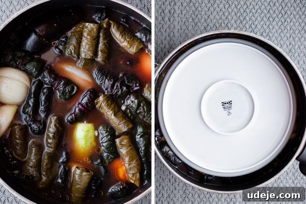Iraqi Dolma: Stuffed Vegetable Delights 16 Iraqi dolma uncooked in a pot submerged in liquid, and another photo of the pot with a plate on top