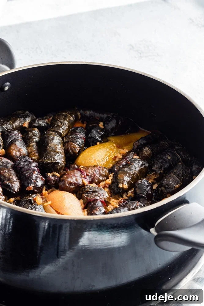 Iraqi Dolma: Stuffed Vegetable Delights 17 Iraqi dolma (which is stuffed vegetables) in a black pot