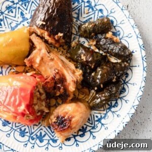 Iraqi Dolma: Stuffed Vegetable Delights 21 Iraqi dolma (vegetables stuffed with rice and meat) served in a blue patterned plate