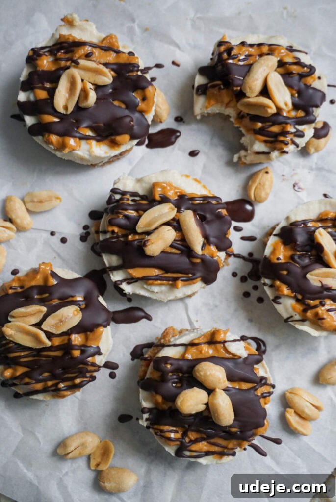Vegan No-Bake Snickers Cheesecake Bites 2 cheesecakes