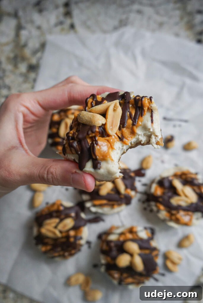 Vegan No-Bake Snickers Cheesecake Bites 3 img 1412 2