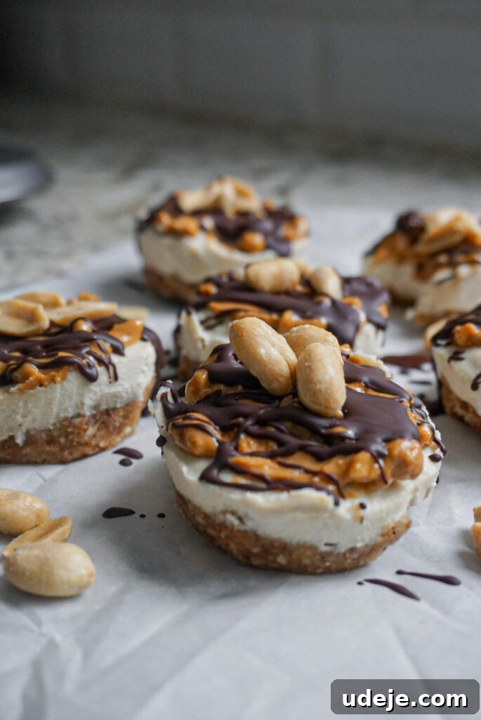 Vegan No-Bake Snickers Cheesecake Bites 4 img 1412 3