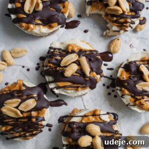 Vegan No-Bake Snickers Cheesecake Bites 5 img 1412 4