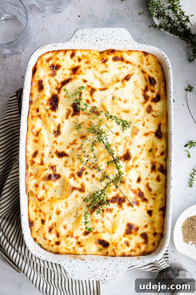 Creamy Bechamel Macaroni Bake 2 A large casserole dish filled with golden-brown Macarona Bechamel, garnished with fresh thyme and cracked black pepper, ready to be served. A striped kitchen towel is draped nearby.