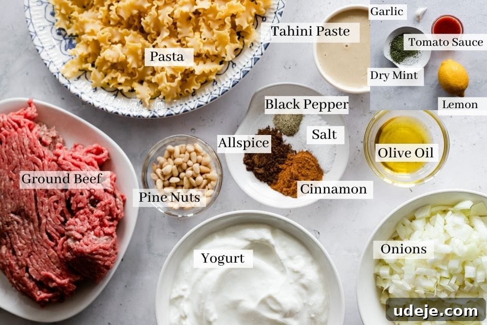 Quick Arabic Pasta with Zesty Yogurt Sauce 3 A flat lay of all the essential ingredients for Arabic pasta, including mafalda corta pasta, lean ground beef, red onions, garlic, a selection of vibrant Middle Eastern spices, creamy plain yogurt, tahini, fresh lemon, dried mint, and a handful of pine nuts, ready for preparation.