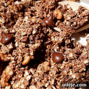 Crunchy homemade chocolate granola with oats and nuts on a baking sheet