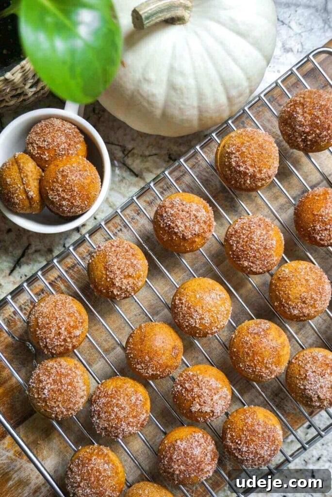 Vegan Spiced Pumpkin Donut Bites 2 Delicious vegan pumpkin donut holes coated in cinnamon sugar, ready in 25 minutes, perfect for fall.