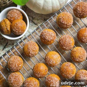 A plate of freshly baked vegan pumpkin donut holes with a cinnamon sugar coating.