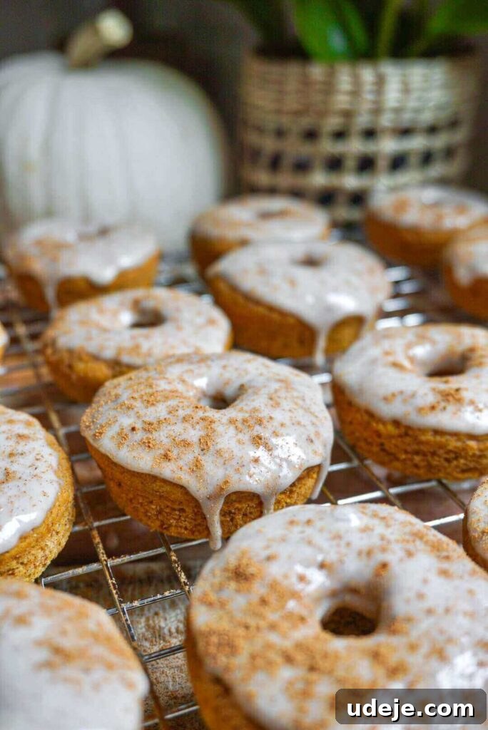 Plant-Based Pumpkin Spice Doughnuts 2 Delightful Vegan Pumpkin Donuts topped with smooth Maple Icing, perfect for cozy fall mornings and quick baking.