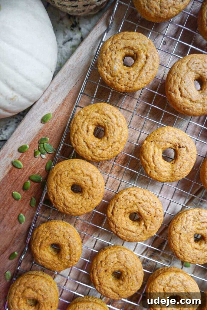 Plant-Based Pumpkin Spice Doughnuts 3 Close-up of fluffy Vegan Pumpkin Donuts with Maple Icing, showing their soft texture and autumnal appeal.