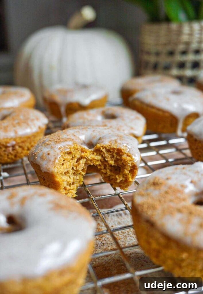 Plant-Based Pumpkin Spice Doughnuts 5 A freshly baked Vegan Pumpkin Donut being dipped into rich Maple Icing, highlighting the ease of preparation.