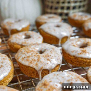 Plant-Based Pumpkin Spice Doughnuts 6 Vegan Pumpkin Donuts with Maple Icing