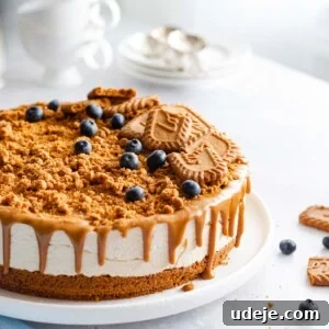 A biscoff cheesecake on a plate, garnished with biscoff cookies and blueberries