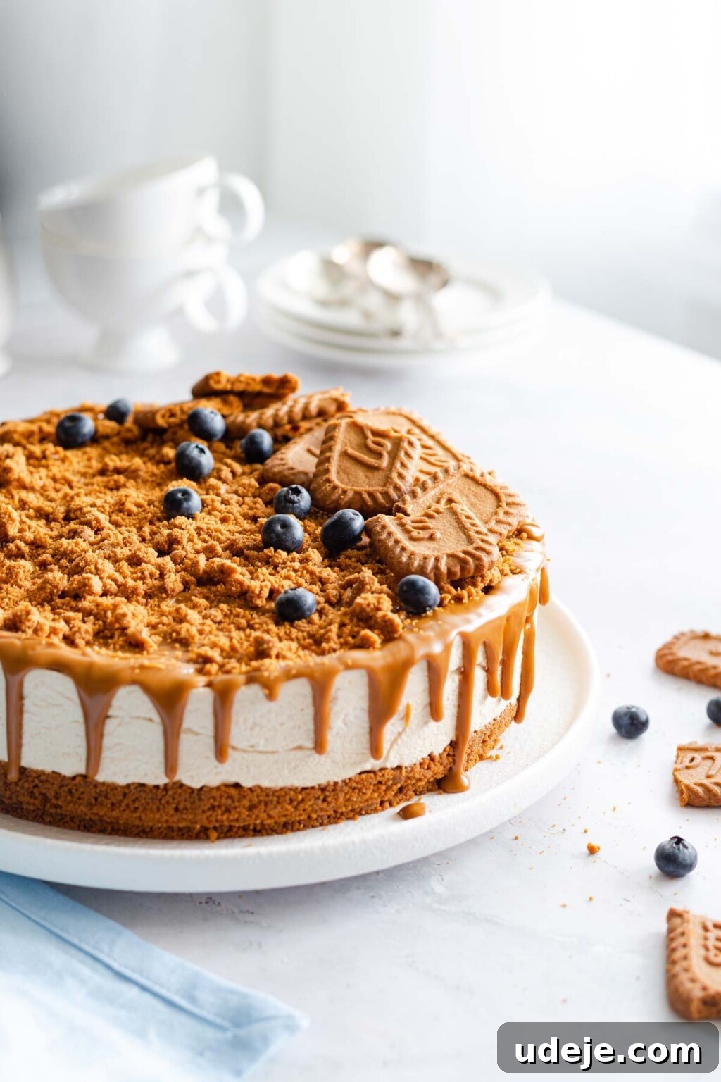 Effortless No Bake Biscoff Cheesecake 6 A decadent Biscoff cheesecake presented on a white plate, adorned with crushed Biscoff cookies and fresh blueberries, ready to be served.