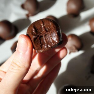 Wholesome Indulgence Truffles 4 Finished Healthy Chocolate Truffles on a serving plate.