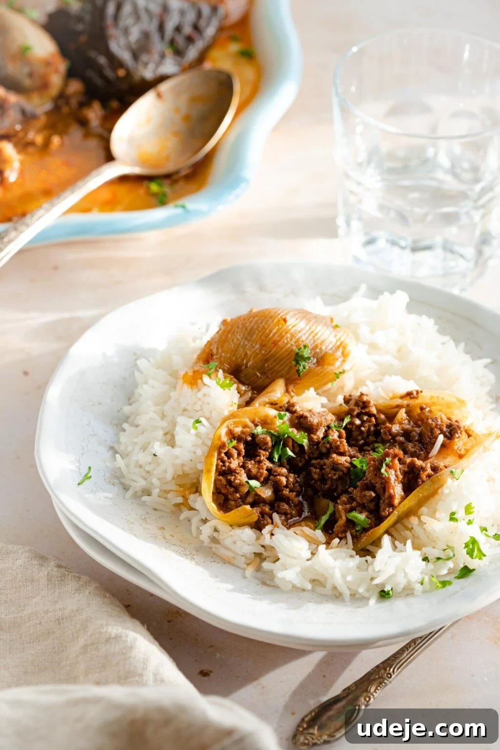 Regal Stuffed Eggplant and Onions 12 A single onion stuffed with ground meat, served on a bed of white rice, with a rich sauce.