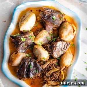Meat stuffed onions and eggplants served on a platter.