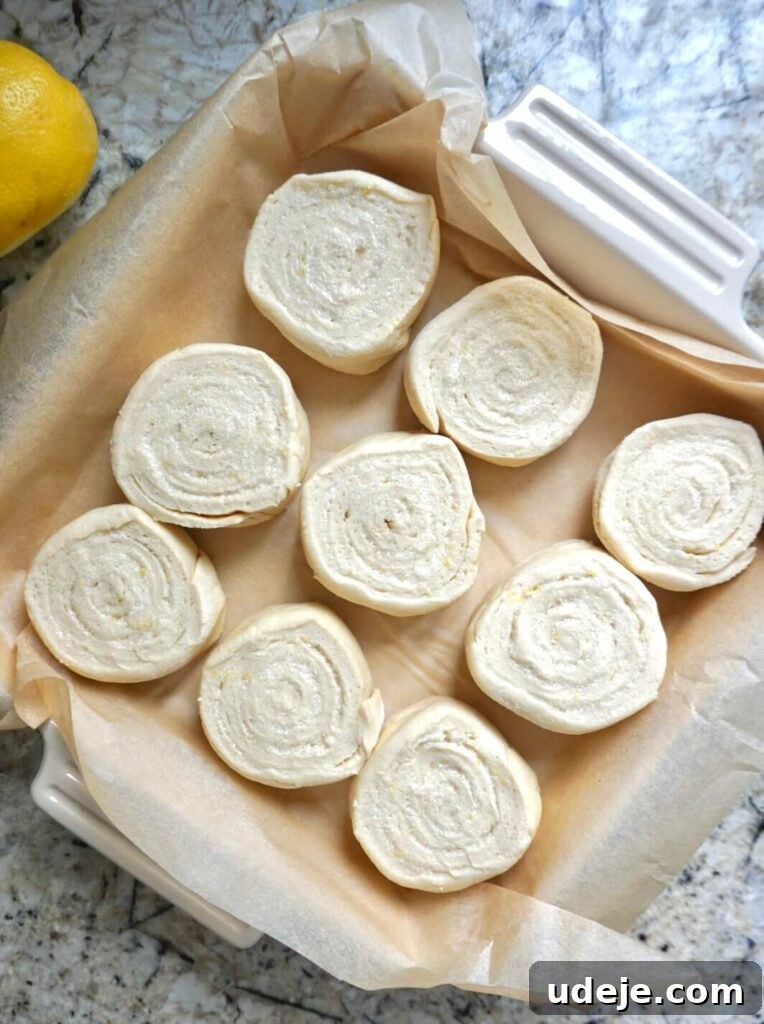 Zesty Vegan Lemon Rolls 5 Vegan Lemon Sweet Rolls, freshly baked and unfrosted, showing their perfectly swirled lemon-sugar filling.