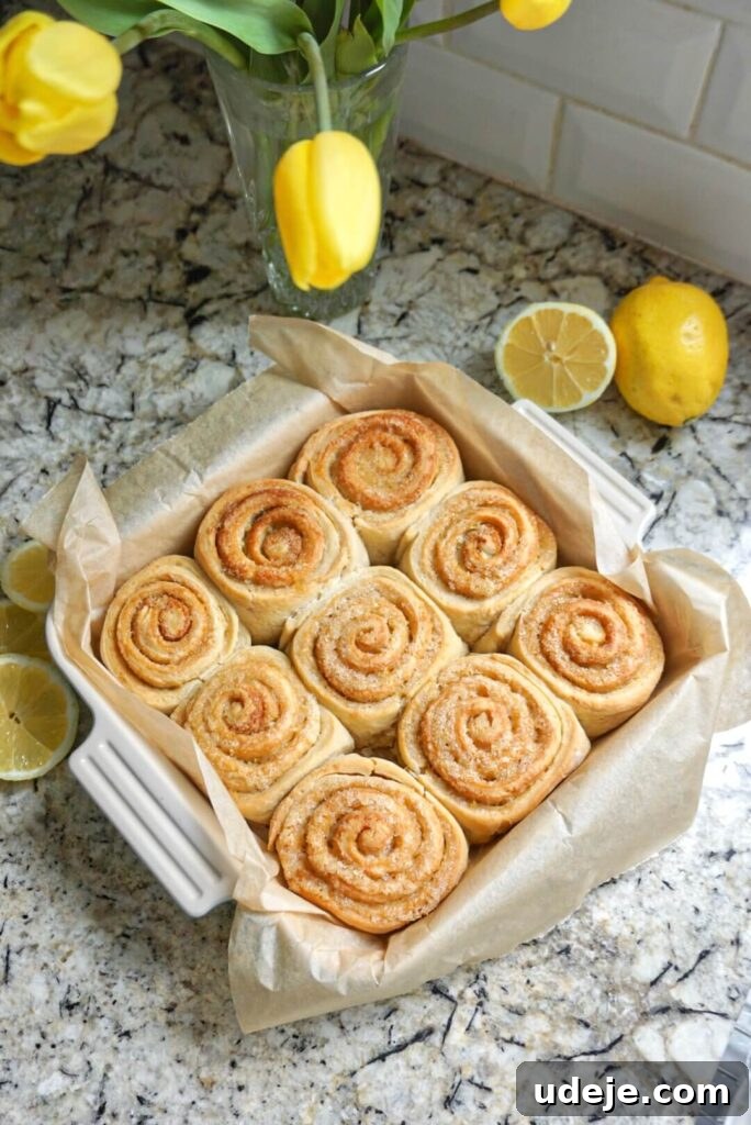 Zesty Vegan Lemon Rolls 6 Individual Vegan Lemon Sweet Rolls arranged in a baking dish before the final rise.