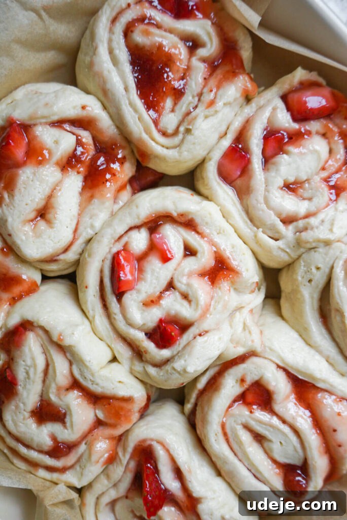 Plant-Based Strawberry Swirls 5 Dough rising for Vegan Strawberry Rolls.