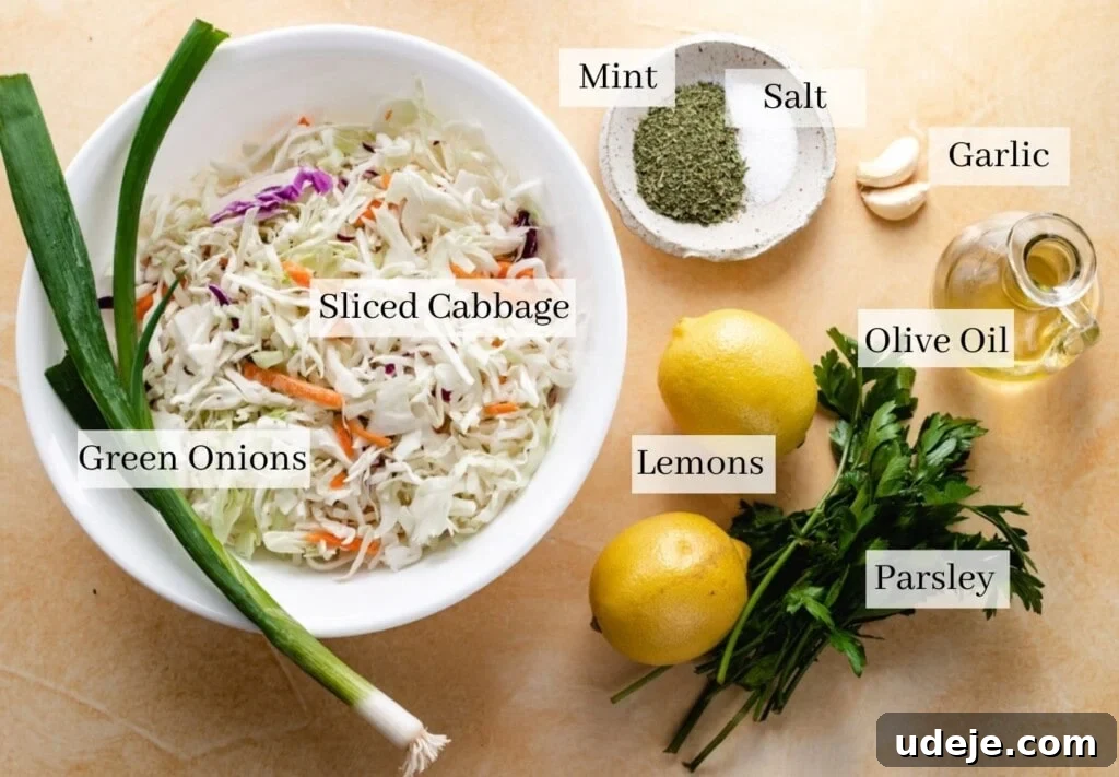 Refreshing Lebanese Cabbage Salad 3 Ingredients for malfouf salad laid out on a table: cabbage, parsley, green onions, lemons, olive oil, garlic, mint, and salt.