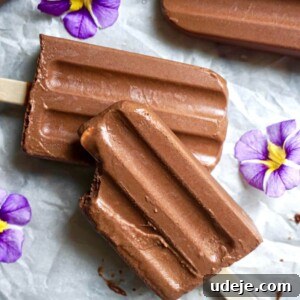 Healthy Fudgesicles