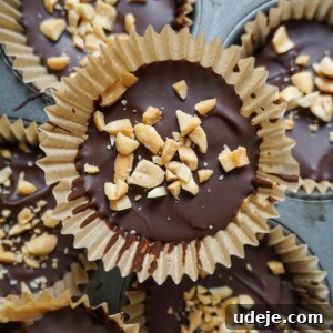 Finished Vegan Chocolate Peanut Butter Yogurt Cups, ready to be served.